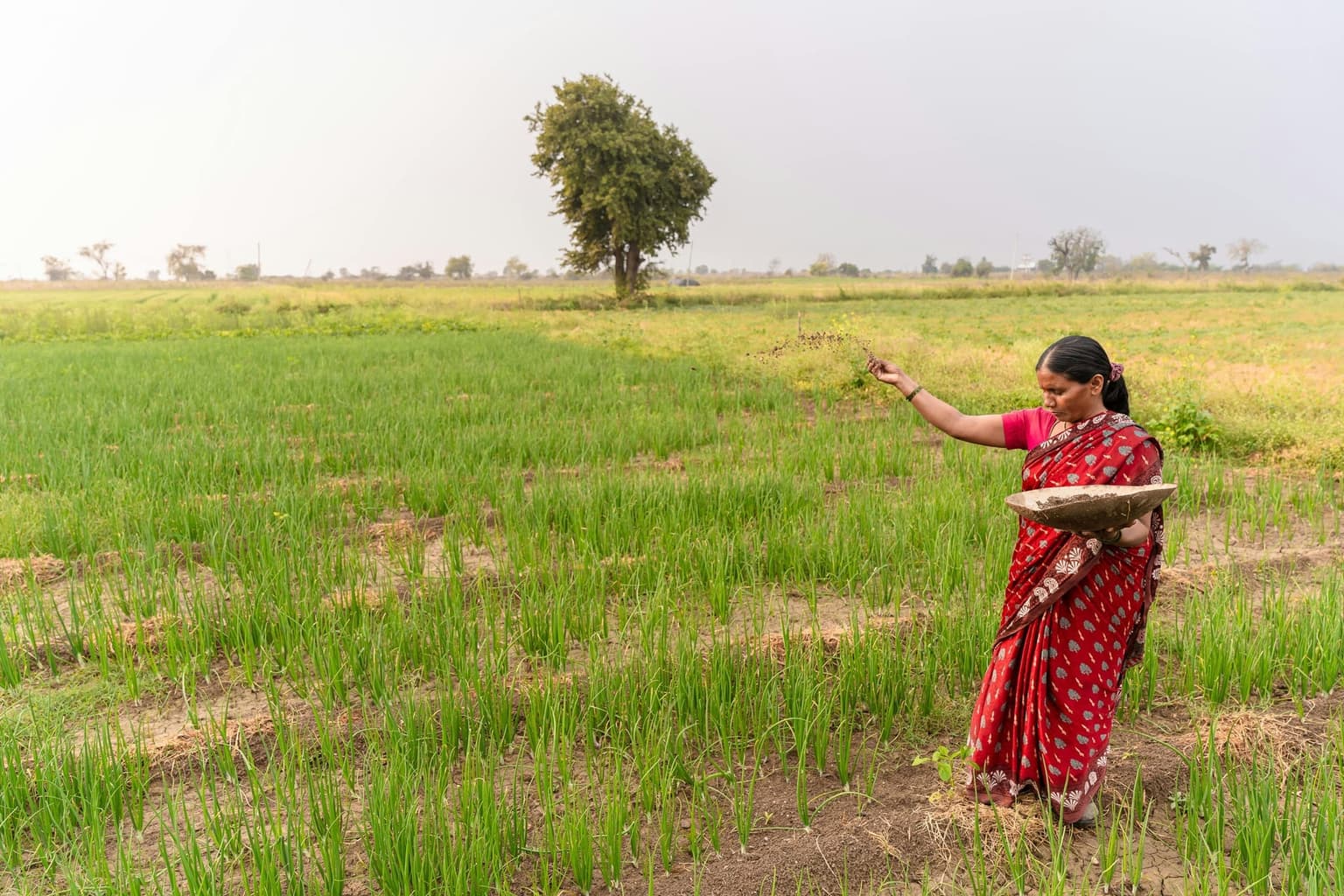 A Fashol hub with agri input supplies being distributed to farmers