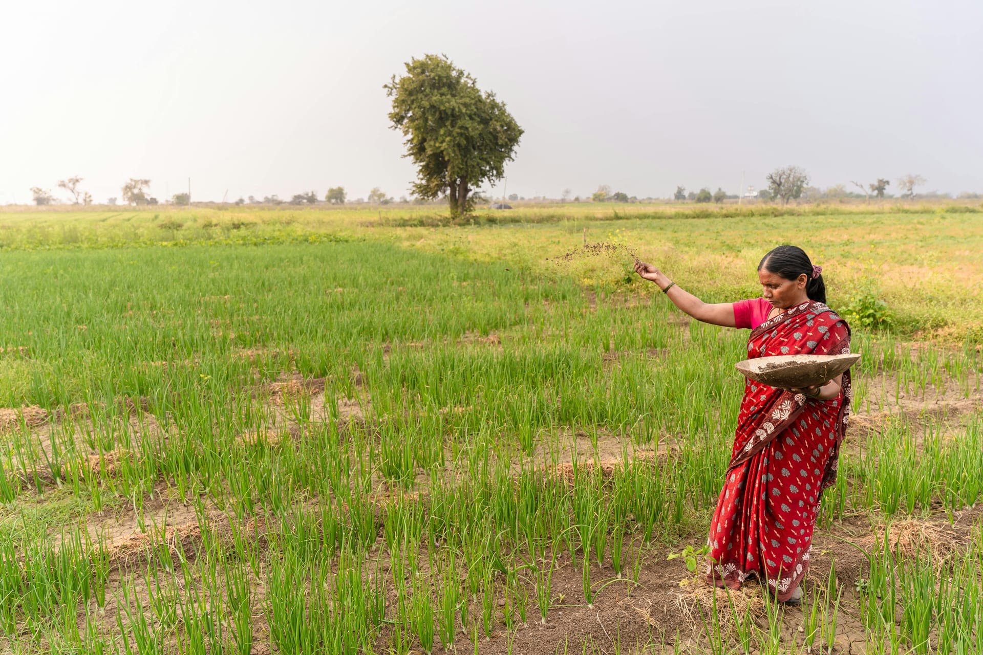 A Fashol hub with agri input supplies being distributed to farmers