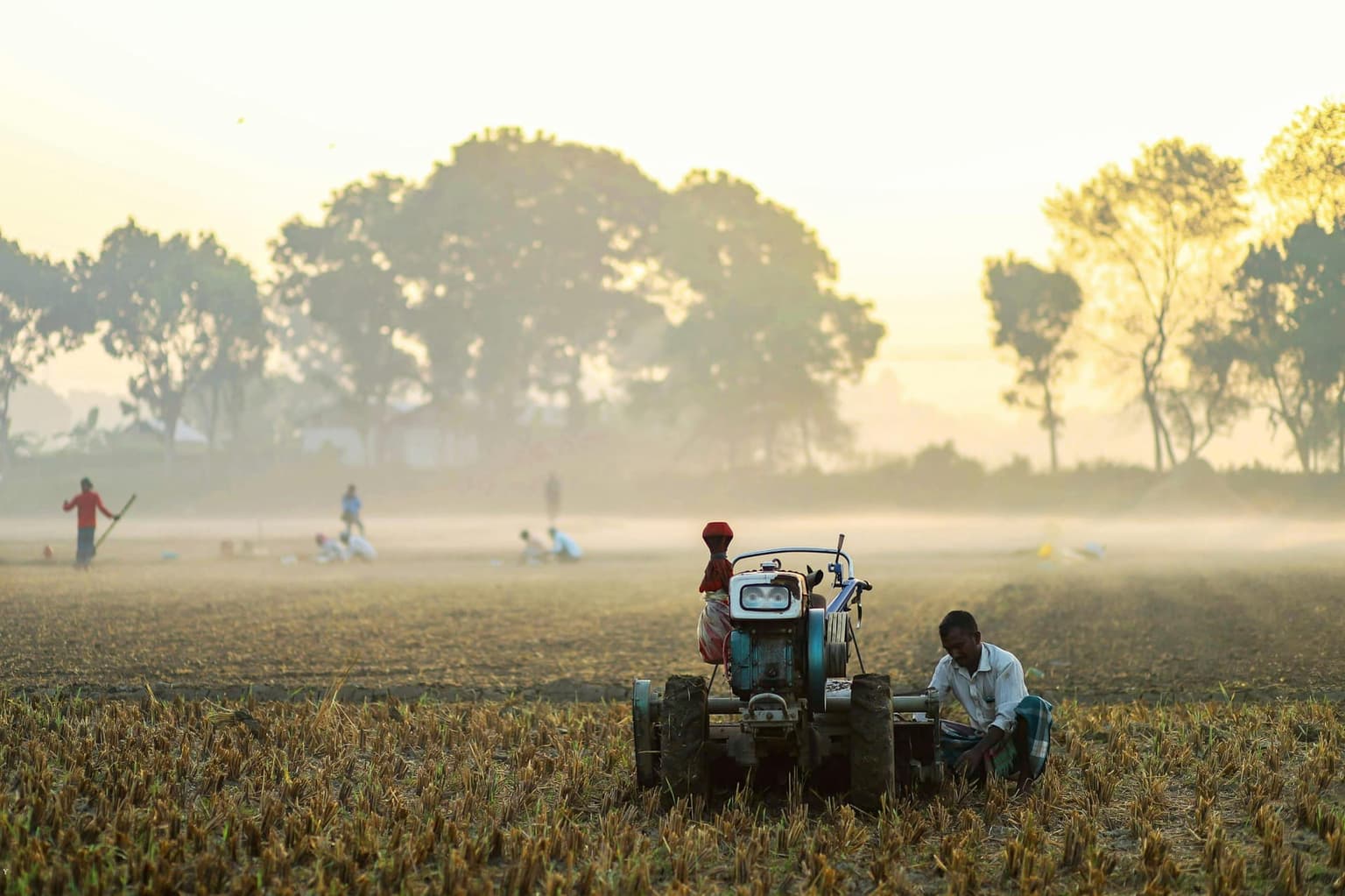 A farmer using a tractor in a field in Bangladesh