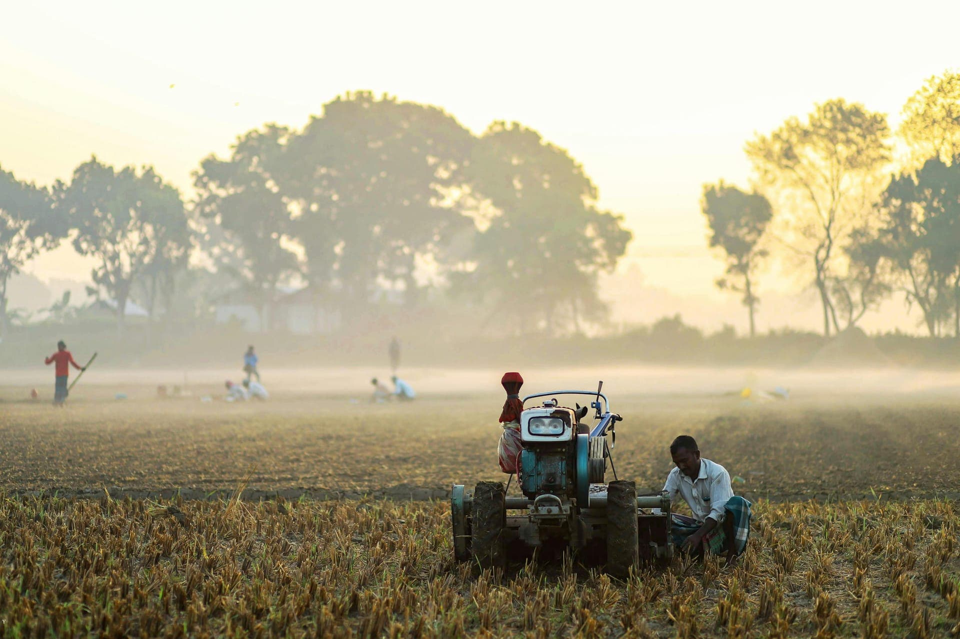 A farmer using a tractor in a field in Bangladesh