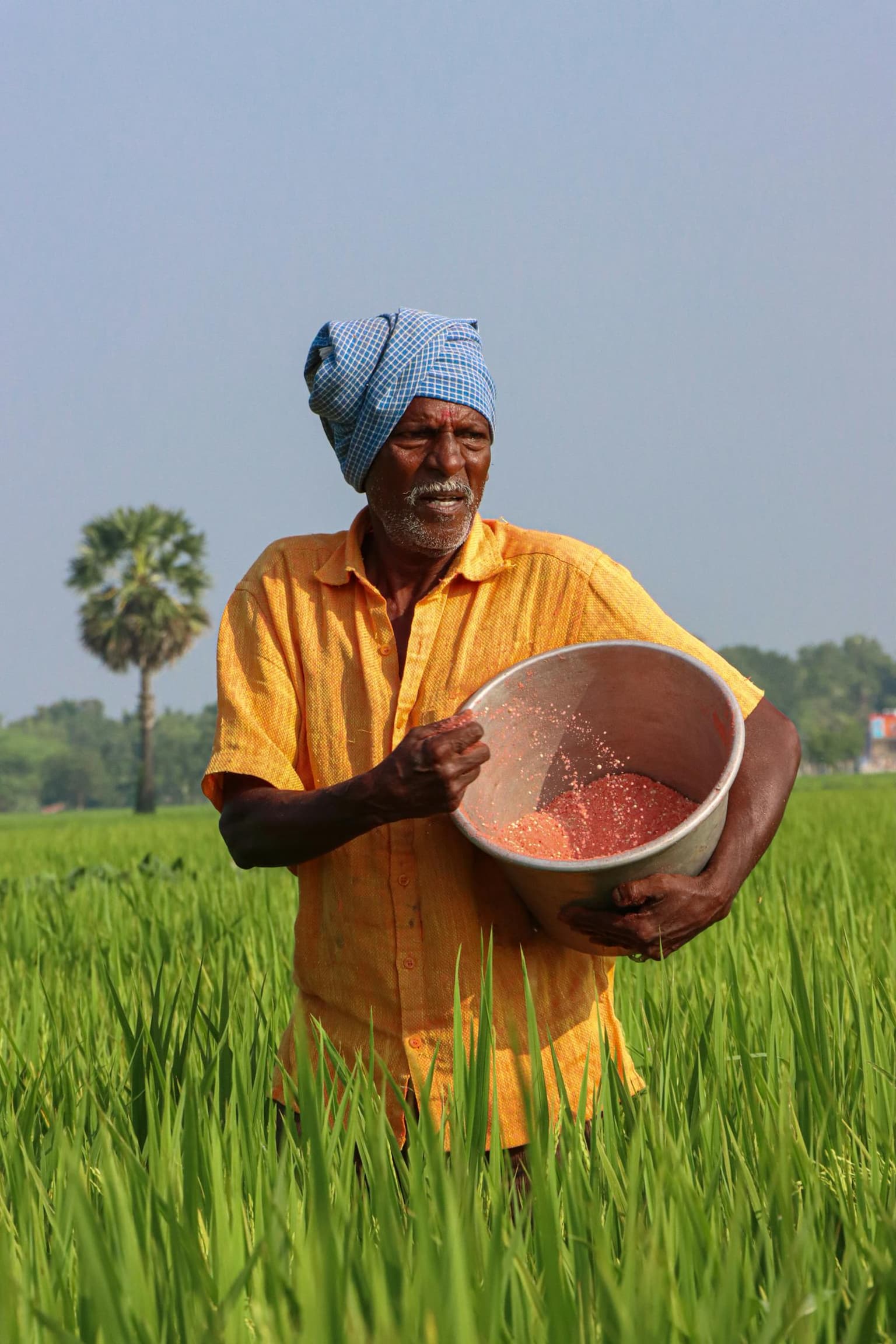 A farmer in an orange shirt sowing seed in a paddy field.