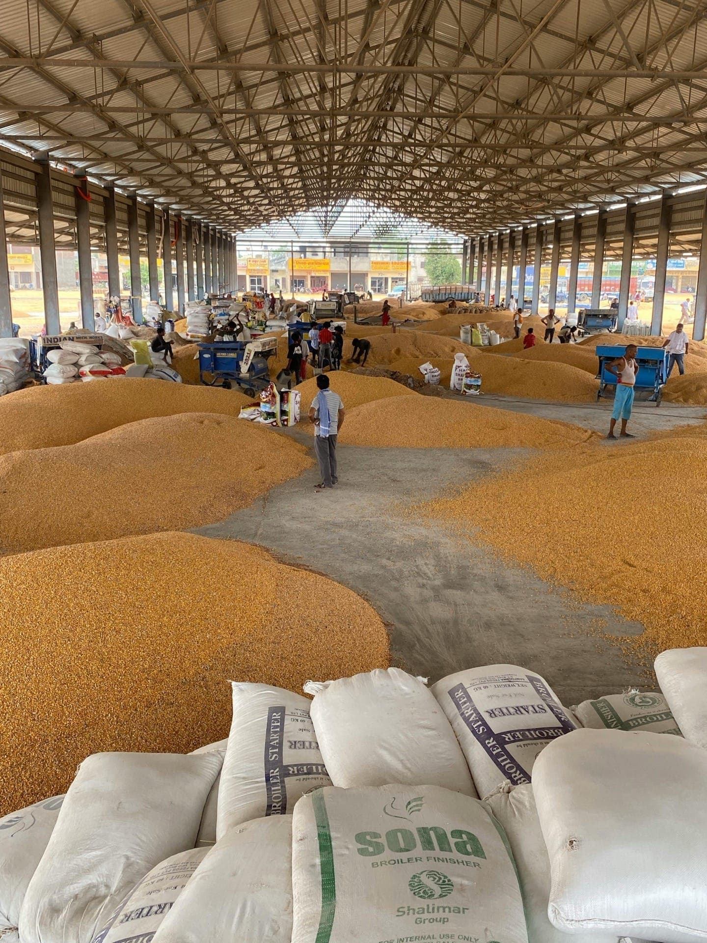 Interior of a large Bangladeshi warehouse with mounds of golden grain, workers moving product, and sacks of feed stacked in the foreground - the procurement floor Hyperfarm digitises.