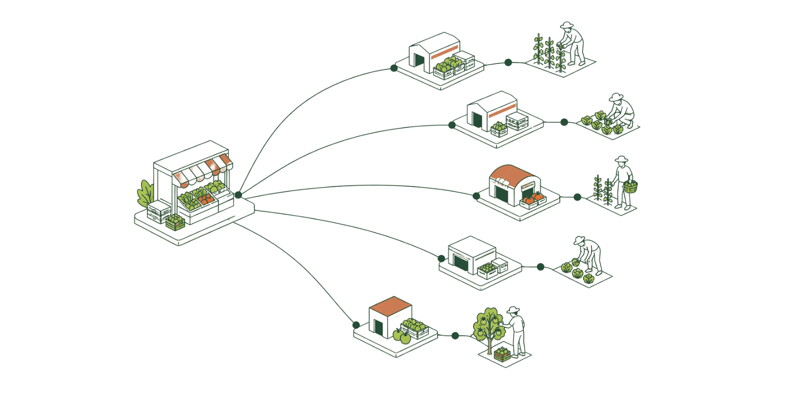 A wide network of hubs and cold-chain routes scaling beyond a single trader