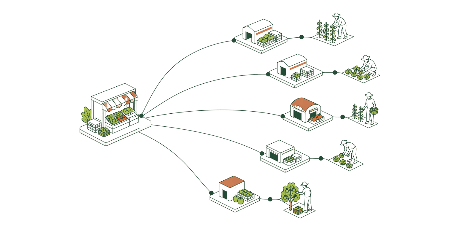 A wide network of hubs and cold-chain routes scaling beyond a single trader